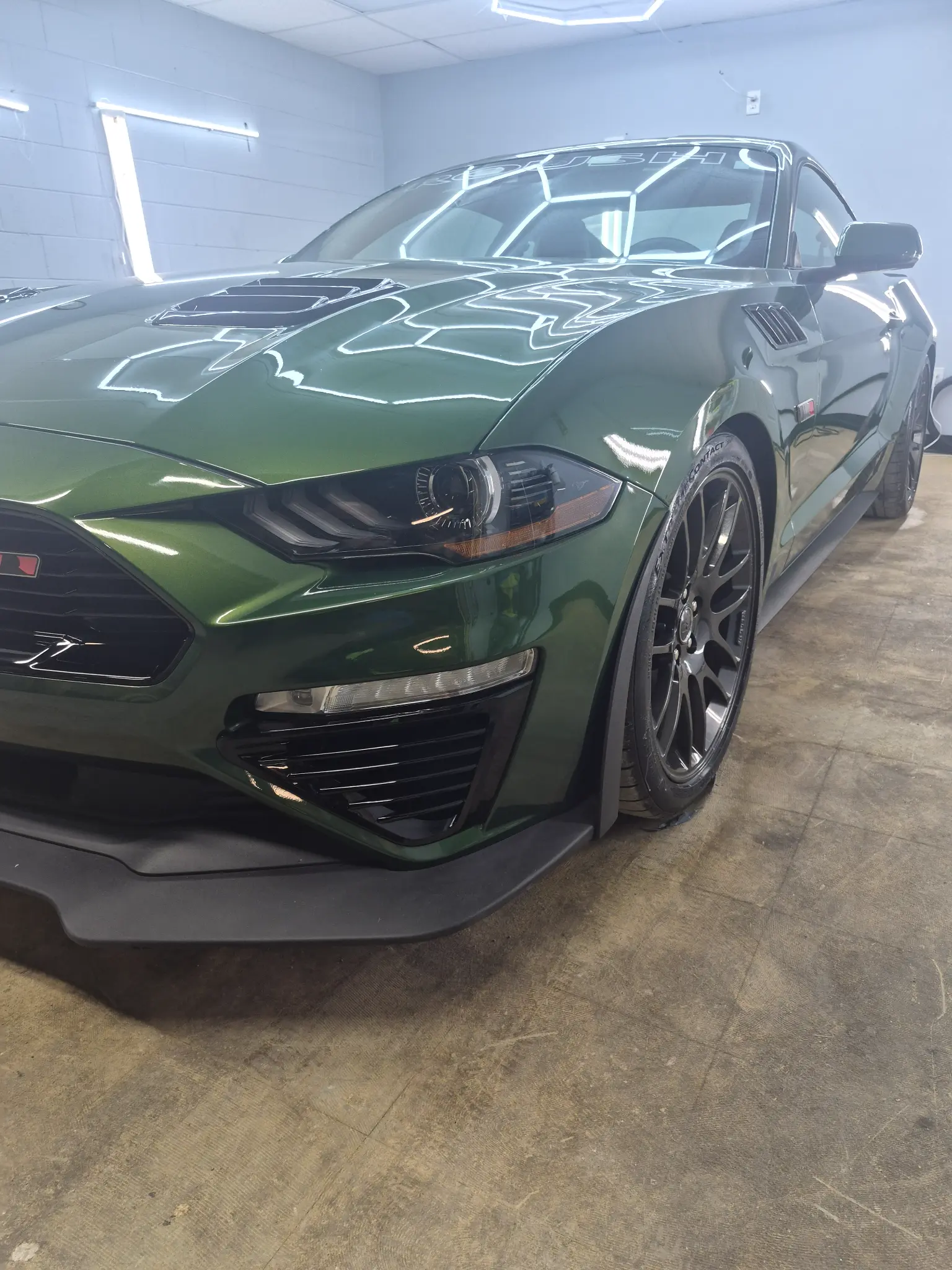 Superior Detail real paint correction work preview